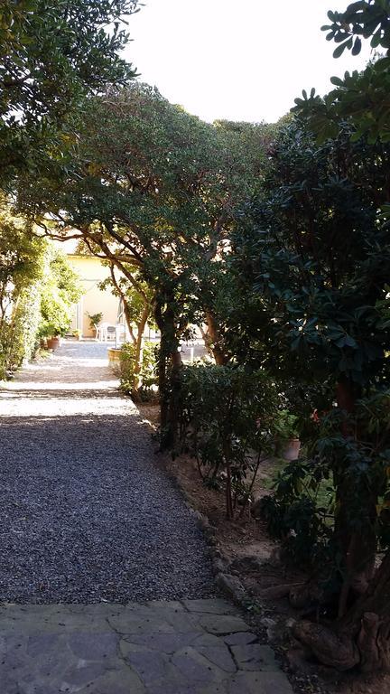 Villa Salvini مارينا دي بيزا المظهر الخارجي الصورة