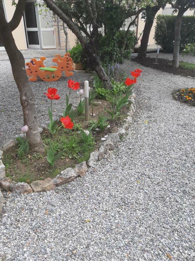 Villa Salvini مارينا دي بيزا المظهر الخارجي الصورة